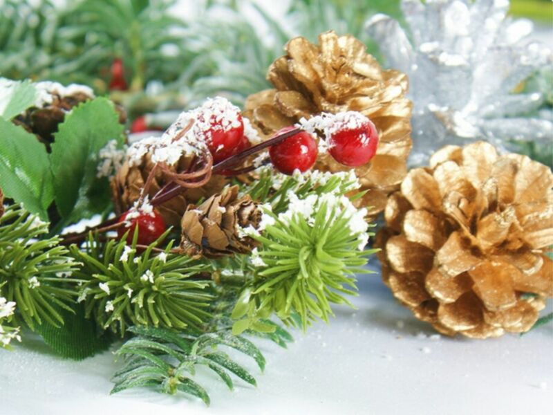 Atelier floral : une pigne sur mon chemin
