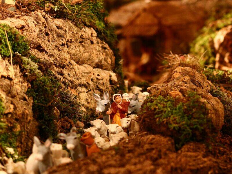 Promenade-découverte : une crèche et 1000 histoires à partager