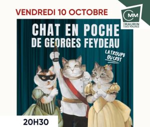 Théâtre : Chat en poche