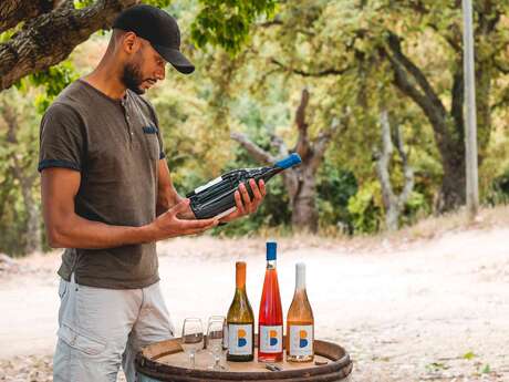 Vignobles en scène à