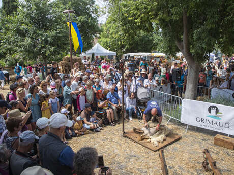 Foire de la Laine et des bergers