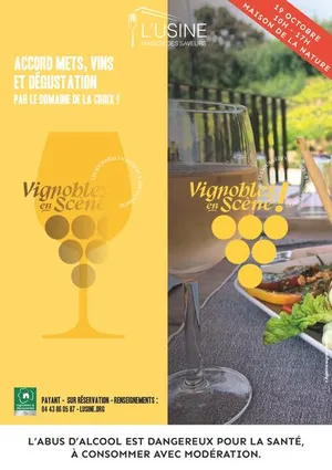 Vignobles en Scène