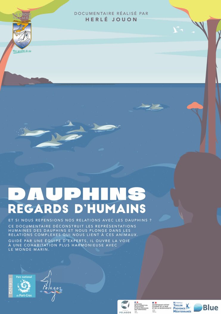 journée de la mer : projection du film « Dauphins – Regards d’humains »