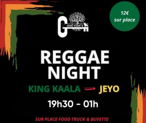 Concert « Reggae Night »