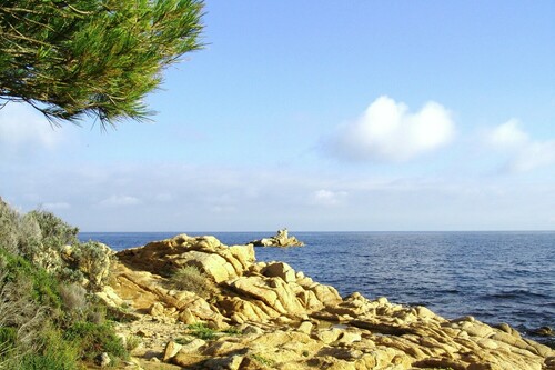 Randonnée thématique « les sous-marins de la liberté » avec Jean-Charles Meyer