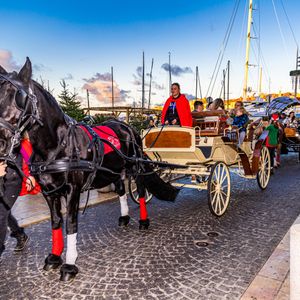 Promenades en calèche