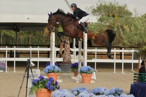 Concours de sauts international – jumping septembre