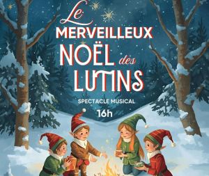 Spectacle musical – « Le merveilleux Noël des lutins »