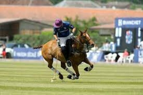 Tournoi de polo – La saga challenge