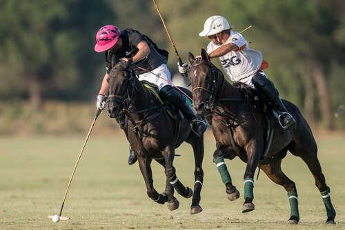 Tournoi de polo – weekend tournament