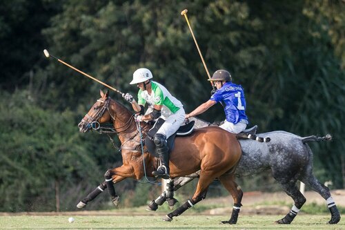 Tournoi polo – Gold cup