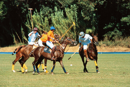 Tournoi de polo – Sun trophy