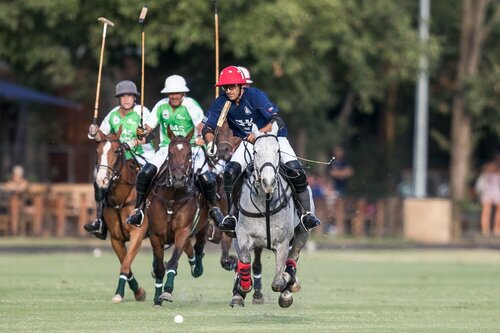 Tournoi de polo – Open du soleil