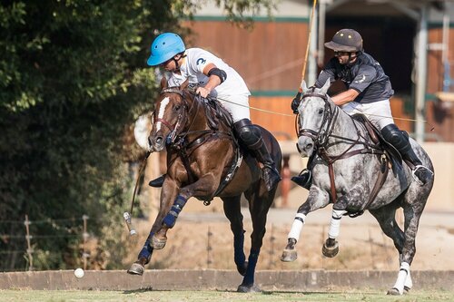 Tournoi de polo – Women polo series