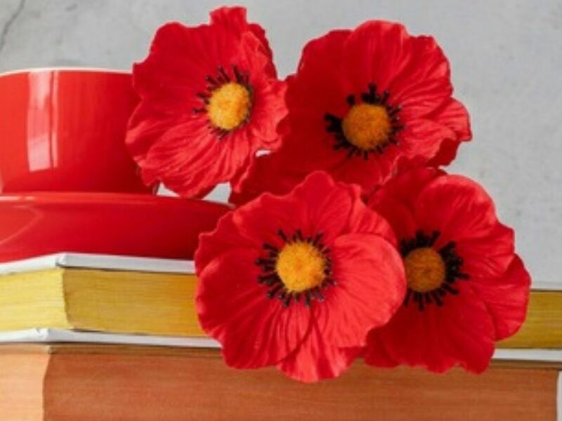 Rencontres littéraires : le bar à livre