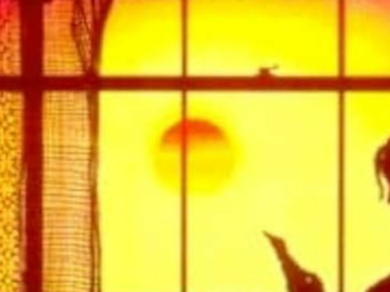 Une auteure, un roman, un film : la couleur pourpre