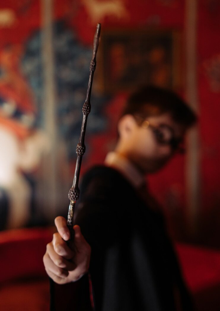 Pichoun&rsquo;ventures Hiver : Fabrication de ta propre baguette magique