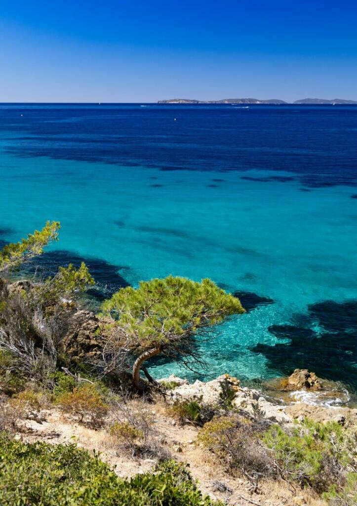 Journée de la mer : Méditerranée, un trésor à protéger