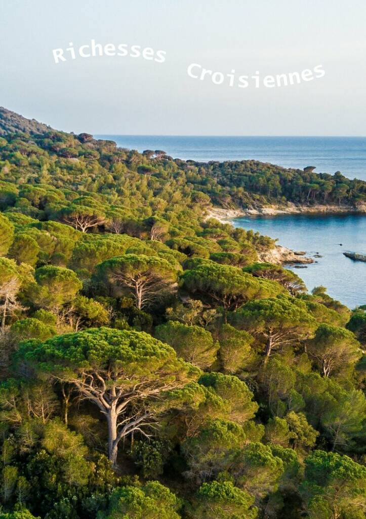 Point rencontre avec un garde du littoral : Flore et végétation du Cap Lardier