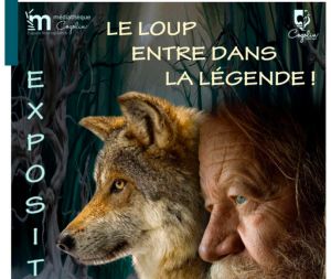 Exposition « Le loup, entre dans la légende »