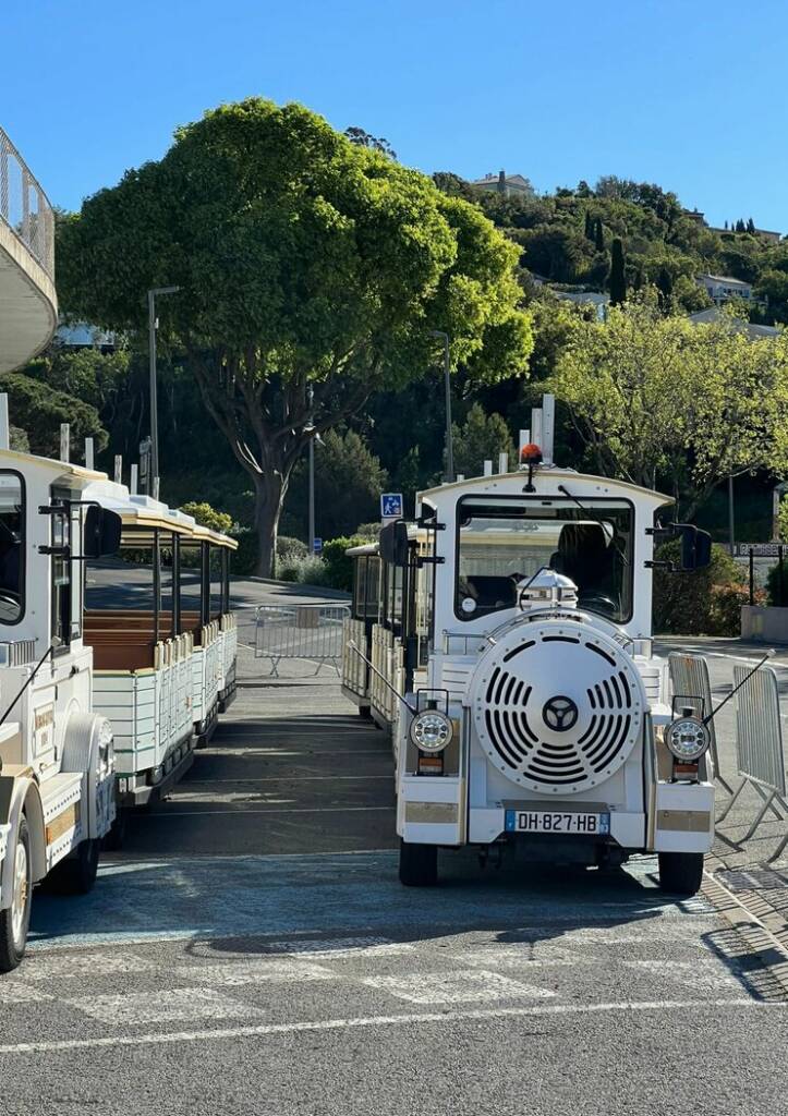 Des Chefs dans les vignes