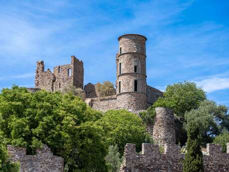 Exposition  » château  »  