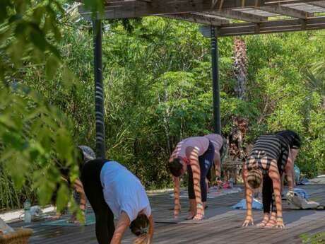 Hello Sun Yoga Festival aux Prairies Mer  