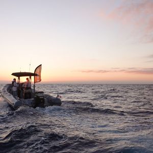 Suzuki Master Fishing – Pêche