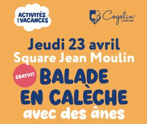 Balade en calèche avec les ânes