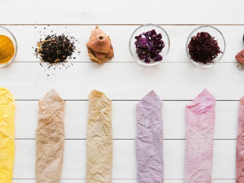 Color’conférence : les pigments du vivant