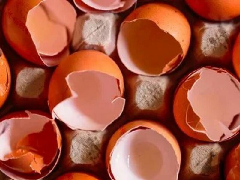 Rencontre théâtrale : clochette a raté sa vie