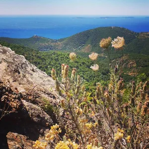 Balade conférence « Les Maures, une Provence originale »