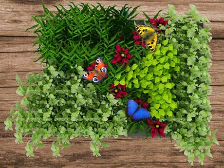 Création d&rsquo;une jardinière printanière Villaverde  