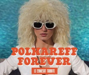 Concert Polnareff forever