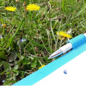 Atelier « Ecriture en nature »