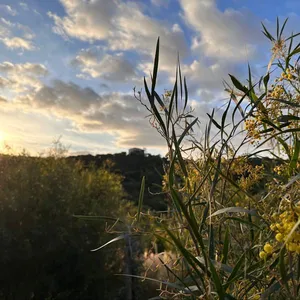 Balade autour de FONCIN avec Mélanie ROBEAU