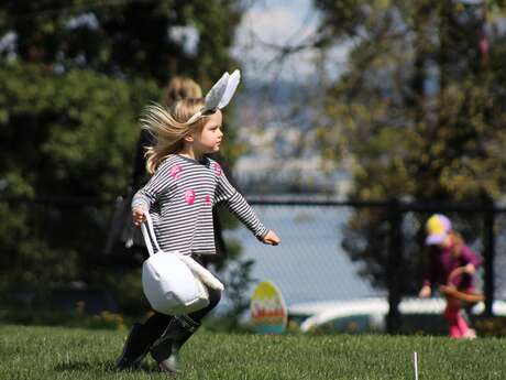 Chasse aux œufs à Villaverde
