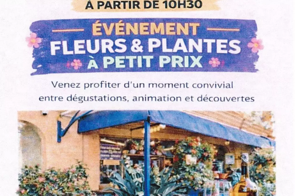 Fleurs & Plantes à petit prix
