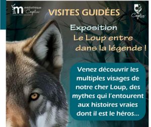Visite guidée de l’exposition « Le loup, entre dans la légende »