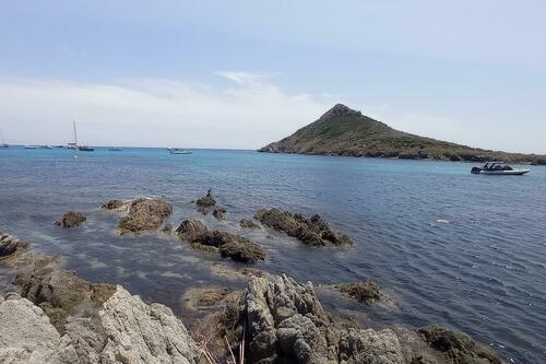 Sur les traces des Douaniers