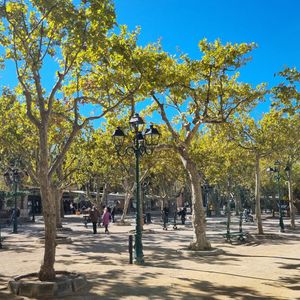 Tournoi de petanques PAD Saint-Tropez 2026