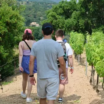 Immersion gourmande au Domaine des Beaucas