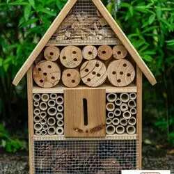 Fête de la nature : atelier de fabrication d&rsquo;un hôtel à insectes