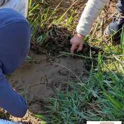 Fête de la nature : Qu&rsquo;est ce que le sol ?