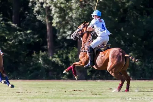 Tournois de polo saison 2026 – Haras de Gassin