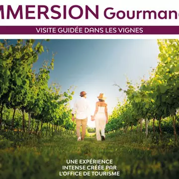 Immersion gourmande : Balade dans les vignes