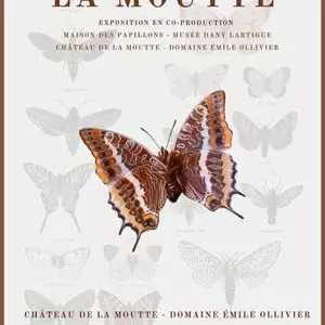 Exposition – Le Jasius de la Moutte