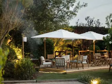 Soirée « Mercredi Sauvage » à Thym Sauvage