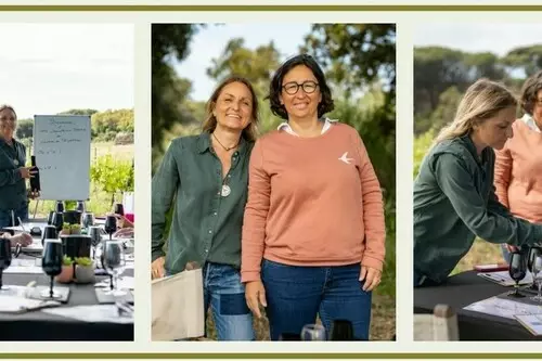 Atelier dégustation au coeur des vignes