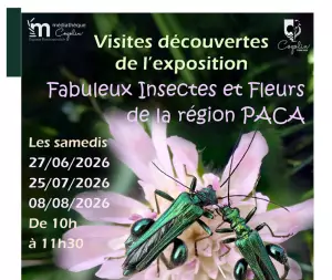 Visite découverte